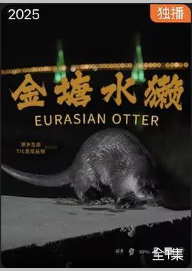 《金塘水獭》：治愈心灵的田园牧歌，人与自然和谐共生的动人乐章